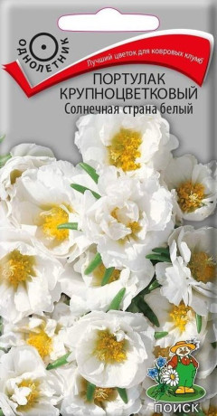 Портулак Солнечная страна белый (поиск) 0,1гр