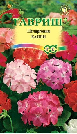 Пеларгония Капри F2 (гавриш) 4 шт