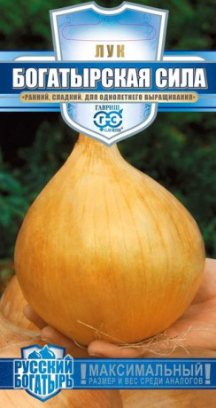 Лук репчатый Богатырская сила (гавриш) 0,2гр
