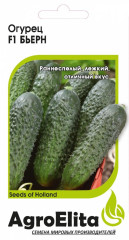 Огурец Бьерн F1 (агроэлита) 5шт (bejo)