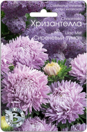 Хризантелла Сиреневый туман (биотехника) 30шт