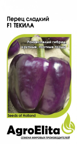 Перец сладкий Текила F1 (агроэлита) 5шт (Enza Zaden)