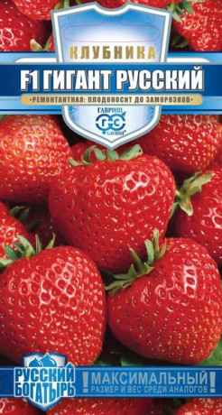 Клубника Гигант Русский F1 (гавриш) 5шт