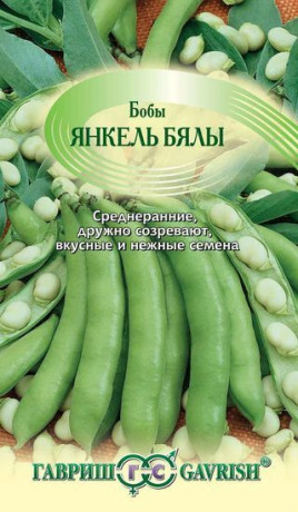 Бобы Янкель бялы (гавриш) 10шт