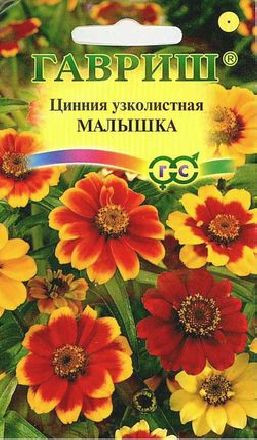 Цинния Малышка (гавриш) 0,3гр