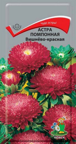 Астра помпонная Вишнево-красная (поиск) 0,3гр