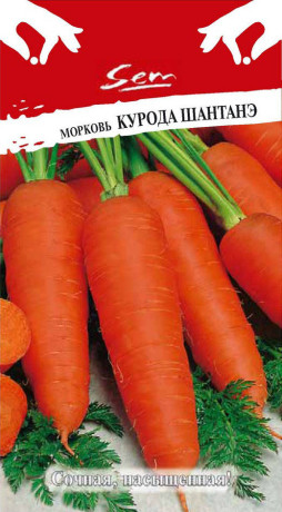 Морковь Курода Шантанэ (нк) 2г