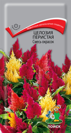 Целозия перистая смесь окрасок (поиск) 0,1гр