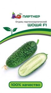 Огурец Шоша F1 (партнер) 5 шт