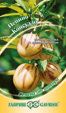 Пепино (дынная груша) Консуэло (гавриш) 5шт