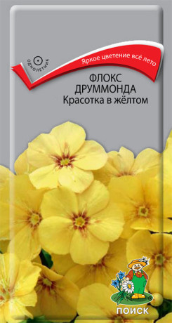 Флокс друммонда Красотка в желтом (поиск) 0,1 гр