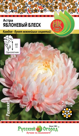 Астра Яблоневый блеск (нк) 50шт