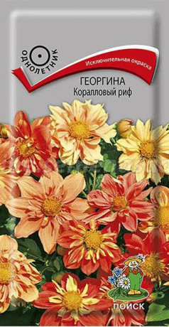 Георгина Коралловый Риф (поиск) 0,1г