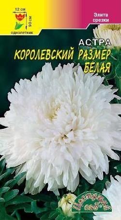 Астра Королевский размер белая (цс) 0,1гр