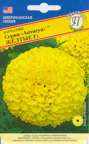 Бархатцы Антигуа F1 желтые (престиж) 5 шт