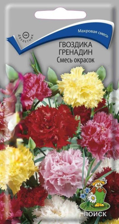 Гвоздика Гренадин смесь окрасок (поиск) 0,25г