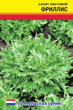 Салат листовой Фриллис (престиж) 7 шт (seminis)