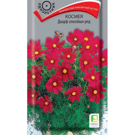 Космея Дварф сенсейшн ред (поиск) 0,2гр