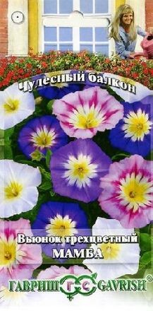 Вьюнок трехцветный Мамба (г)