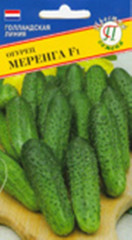 Огурец Меренга F1 (престиж) 5шт (seminis)
