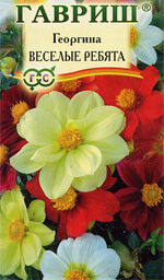 Георгина Веселые ребята (гавриш) 0,3гр