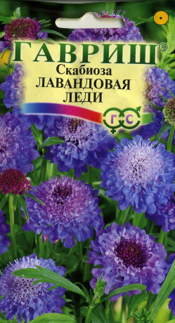 Скабиоза Лавандовая леди (гавриш) 0,2гр