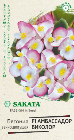 Бегония вечноцветущая Амбассадор Биколор F1 (г) 5шт