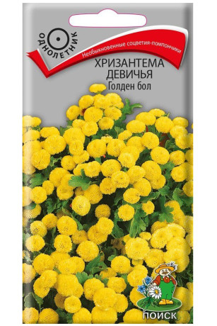 Хризантема девичья Голден бол (поиск) 0,05гр