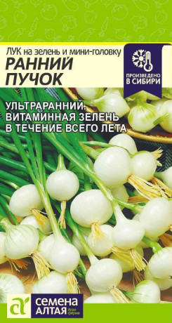 Лук на зелень Ранний пучок (семена Алтая) 0,5гр