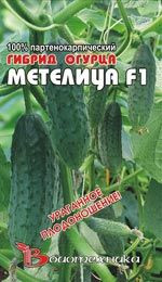 Огурец Метелица F1 (биотехника) 8шт