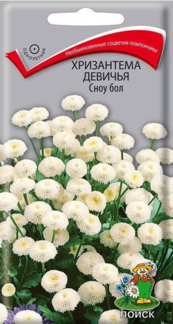 Хризантема девичья Сноу бол (поиск) 0,05гр