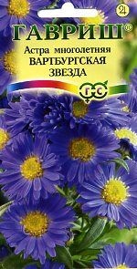 Астра Вартбургская звезда (г) 0,05гр многолетняя