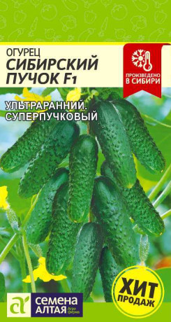 Огурец Сибирский пучок F1 (семена Алтая) 5 шт