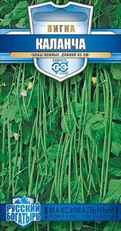 Вигна Каланча (гавриш) 10шт