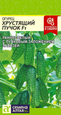 Огурец Хрустящий пучок F1 (семена Алтая) 6шт