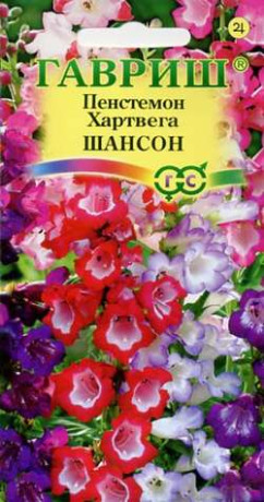 Пенстемон Хартвега Шансон (гавриш) 0,1гр