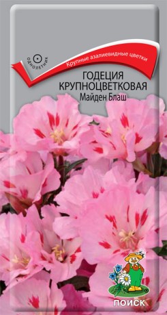 Годеция крупноцветковая Майден Блаш (поиск) 0,2г