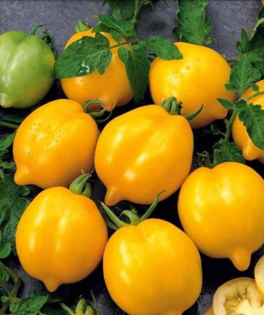 Томат Чудо Света (нк) 0,1гр