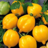 Томат Чудо Света (нк) 0,1гр