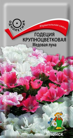 Годеция крупноцветковая Медовая Луна (поиск) 0,2г