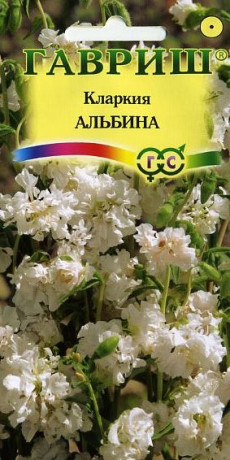 Кларкия Альбина (г) 0,05гр
