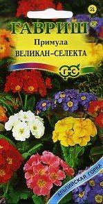 Примула Селекта Великан (гавриш) 10 шт