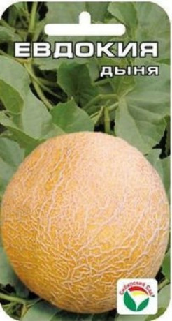 Дыня Евдокия (сибирский сад) 7 шт