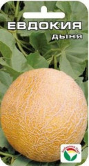 Дыня Евдокия (сибирский сад) 7 шт