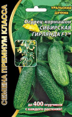 Огурец Сибирская гирлянда F1 (уральский дачник) 5шт