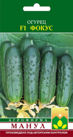 Огурец Фокус F1 (манул) 10шт