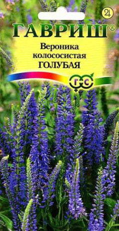 Вероника колосистая Голубая (гавриш) 0,02гр