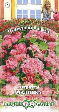 Агератум Малинка (г) 0,1гр