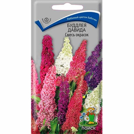 Будлея Давида смесь окрасок (поиск) 10шт