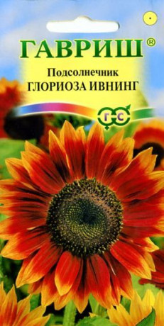 Подсолнечник декоративный Глориоза Ивнинг (гавриш) 0,5 гр